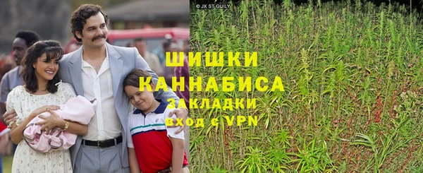 молекула духа Белокуриха