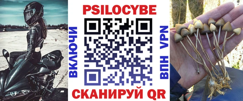 Псилоцибиновые грибы Cubensis  МЕГА ССЫЛКА  Мурино  купить наркоту 